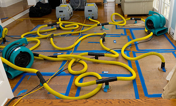 Professional Basement Flood Cleanup technician working in Venus, PA